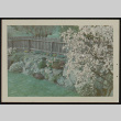 Landscaped yard (ddr-densho-287-567)