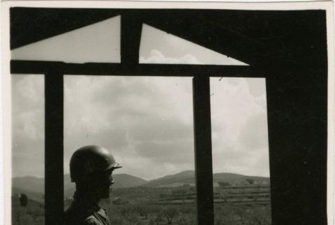 Soldier looking at olive grove (ddr-densho-201-446)