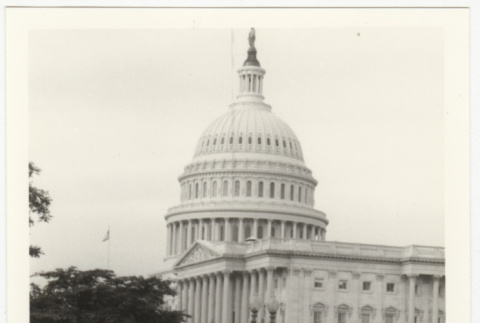 Committee members in Washington, D.C. (ddr-densho-346-13)
