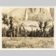 Trees at the base of a waterfall (ddr-densho-542-832)