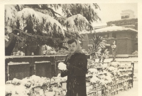 Snow in Tokyo (ddr-one-2-222)