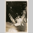Tomoye (Nozawa) Takahashi seated on ground under tree (ddr-densho-426-1551)