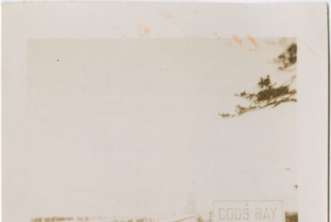 View of bridge with Coos Bay Highway 101 sign (ddr-densho-426-1952)