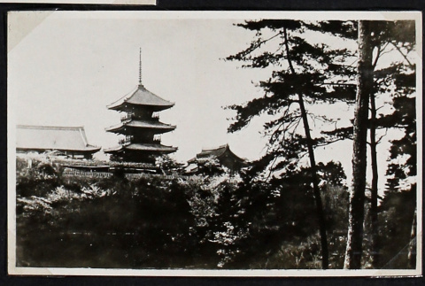 View of three buildings through the trees (ddr-densho-404-151)