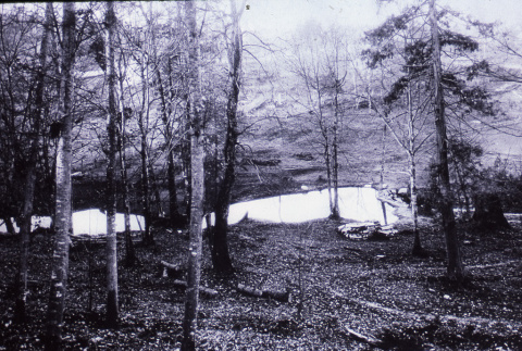 Historical photo of the Garden from Kraig Kemper's Thesis (ddr-densho-354-305)