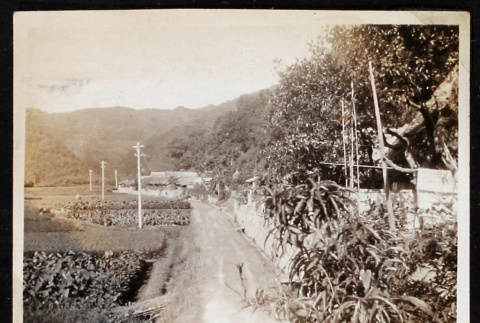 Dirt road among fields and trees (ddr-densho-404-66)