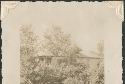 House with trees (ddr-densho-321-107)