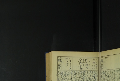 Page 203 (ddr-densho-255-5-master-88375b58d9)