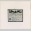 Ajari marriage license (ddr-densho-37-1488)