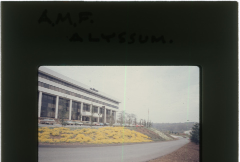 Landscaping at the AMF project (ddr-densho-377-925)