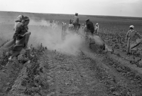 Harvesting with a tractor (ddr-fom-1-45)