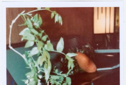 Photo front and back (ddr-densho-534-133-mezzanine-6515ce7d28)