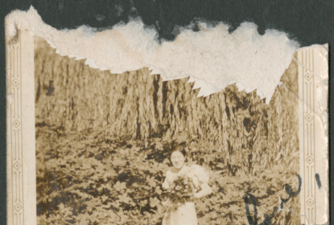 Woman with bouquet of flowers standing in field. (ddr-densho-316-167)