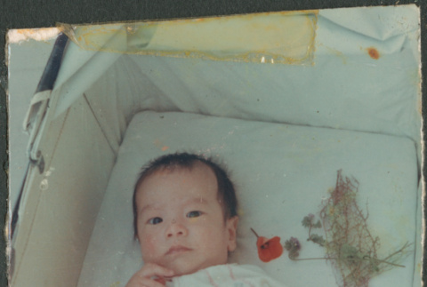 Baby in bassinet (ddr-densho-523-489)