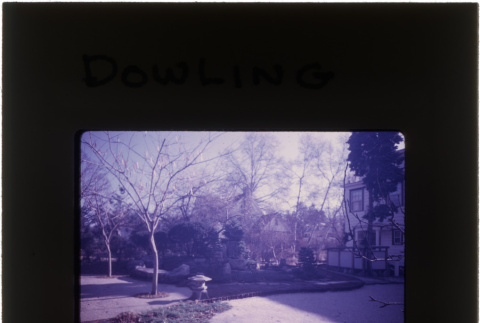 Garden at the Dowling project (ddr-densho-377-690)