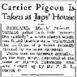 Carrier Pigeon Is Taken at Japs' House (March 26, 1942) (ddr-densho-56-717)
