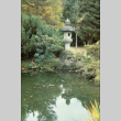 Japanese Garden pond and lantern, looking West (ddr-densho-354-2640)
