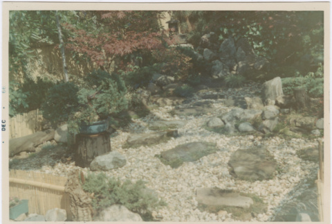 Hideo Iyeki's garden (ddr-densho-392-87)