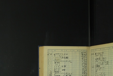 Page 409 (ddr-densho-255-5-master-b03810b36e)
