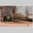 Yard before landscaping (ddr-densho-377-1872)