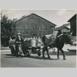 Japanese farmer drives his ox pulling his cart (ddr-densho-299-183)