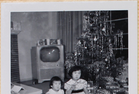 Susan and Leslie Shiomi (ddr-densho-522-537)