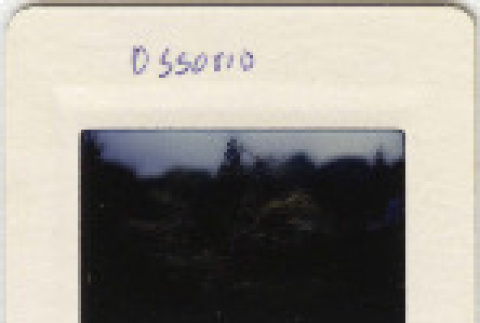 Front and back (ddr-densho-377-512-mezzanine-5f55ddd969)