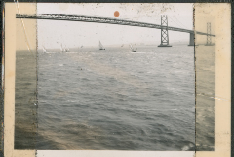 View of Tacoma Narrows Bridge (ddr-densho-483-972)