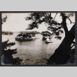 Tree with islands in background (ddr-densho-468-408)
