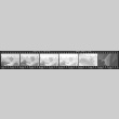 Negative film strip for Farewell to Manzanar scene stills (ddr-densho-317-112)