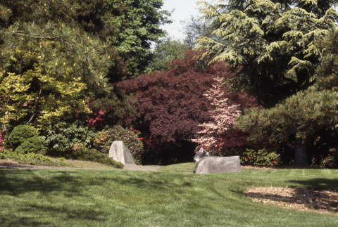 Lawn and stones looking toward Heart Bridge (ddr-densho-354-2026)