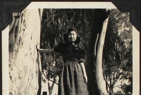Tomoye (Nozawa) Takahashi standing in tree (ddr-densho-423-548)