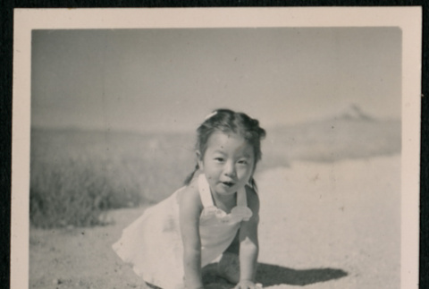 Japanese American girl toddler crawling (ddr-densho-362-47)