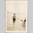 A girl on the beach (ddr-densho-321-621)