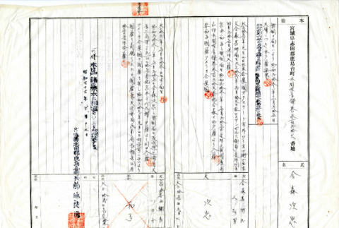Family register certification for Tsugitada Kanamori, in Japanese (ddr-csujad-12-23)