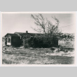 Tule Lake internee barracks (ddr-densho-345-146)