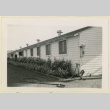 Flowers outside the administration building (ddr-densho-37-1099)