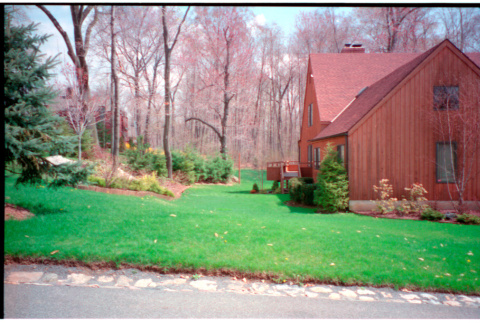 House and lawn (ddr-densho-377-2589)