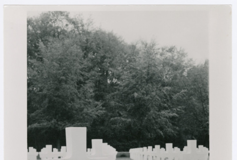 The headstone of Edward Ogawa (ddr-densho-1007-136)
