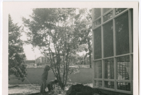 Tree planting (ddr-densho-377-2150)
