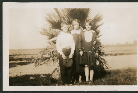 Kids in front of palm (ddr-densho-378-317)