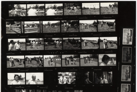 Contact Sheet (ddr-densho-1007-1363-mezzanine-2f0d65c846)