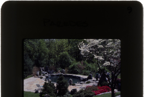 Garden and pool at the Paredes project (ddr-densho-377-534)