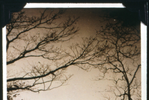 Mt. Fuji (ddr-densho-1007-701)
