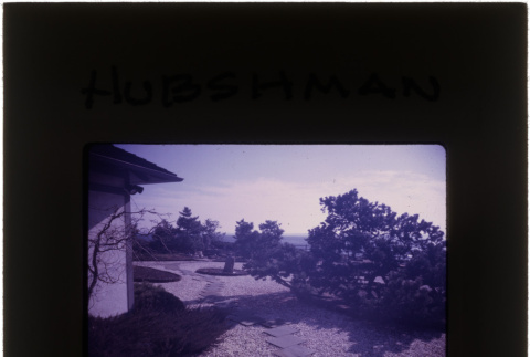 Garden at the Hubshman project (ddr-densho-377-605)
