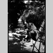 Tomoye (Nozawa) Takahashi feeding a squirrel (ddr-densho-426-1906)