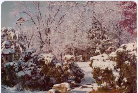 Garden in the snow (ddr-densho-534-44)