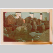 Indoor water feature (ddr-densho-377-2226)
