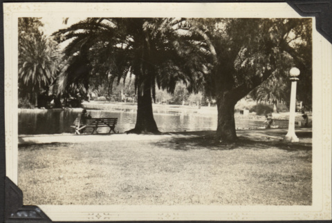 Park bench along lake (ddr-densho-326-506)