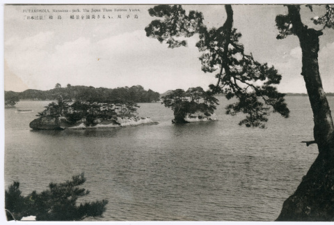 Blank postcard (ddr-densho-501-39)